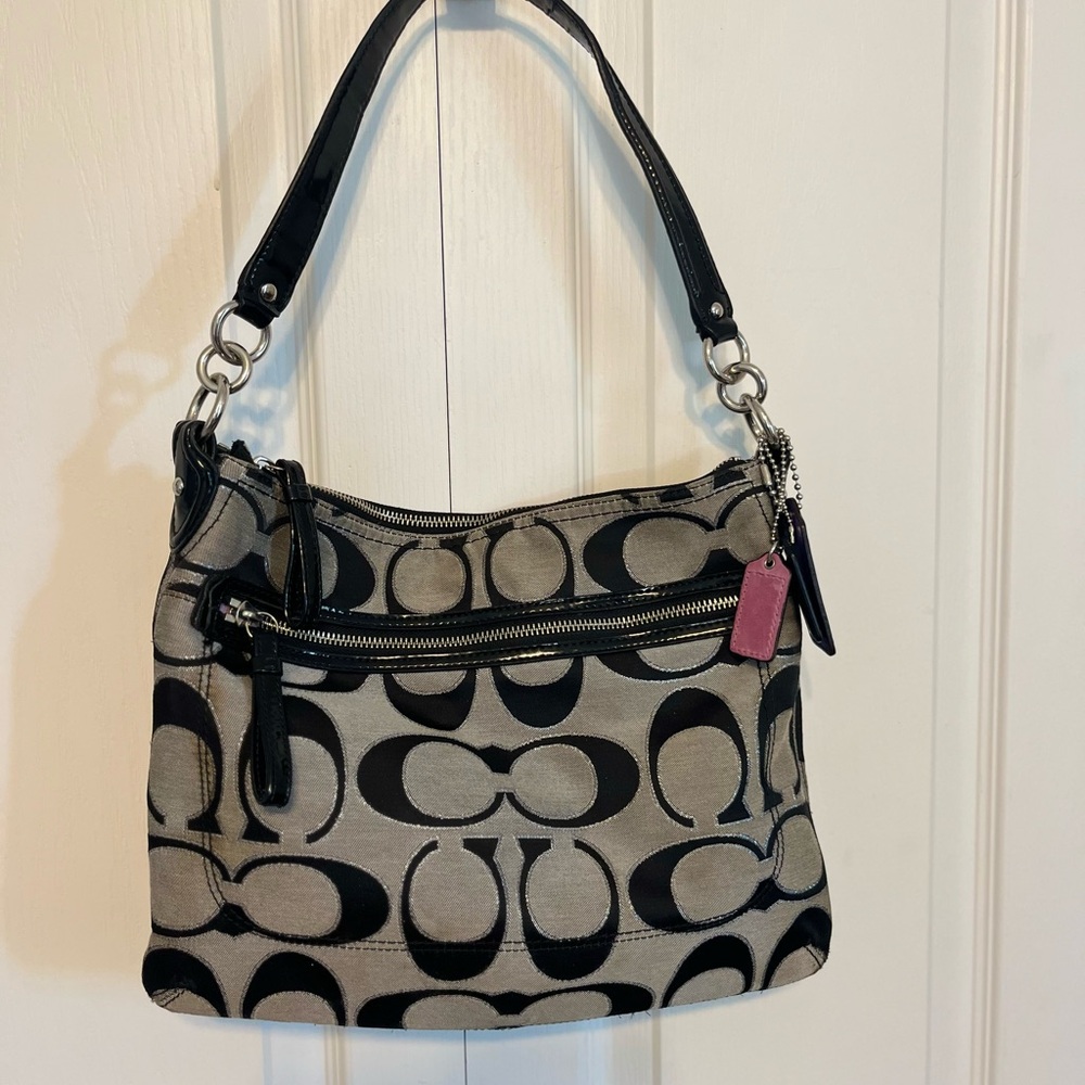 Coach Signature C Bag